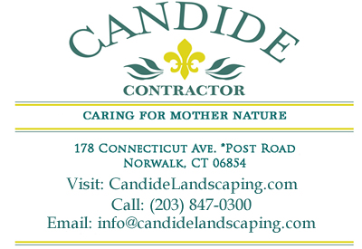 Candide Contractor Ad for Website